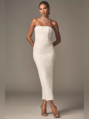 Helsi
Leslie Strapless Sequin Lace Column Midi Dress Anthropologie